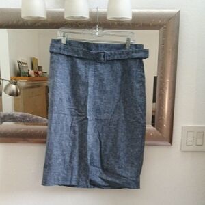 Elegant Blue Women's Skirt